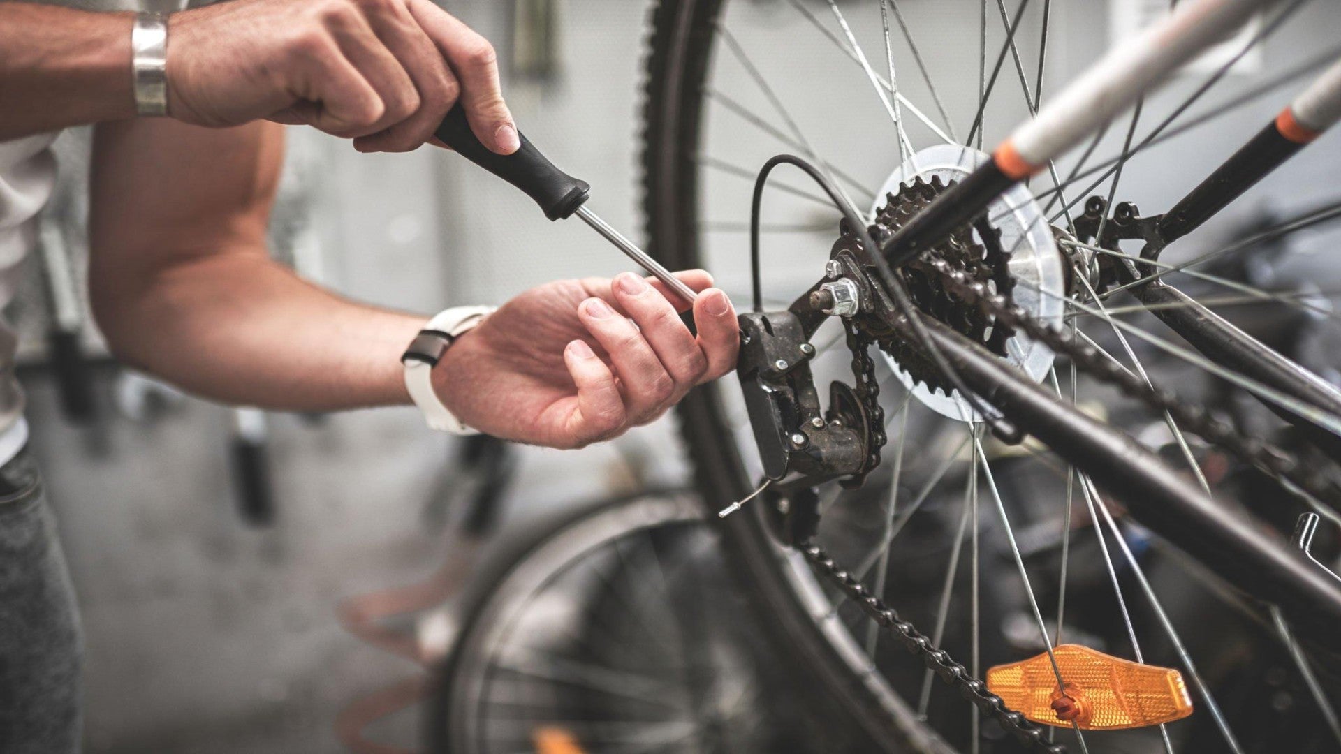 Mtb bike maintenance outlet