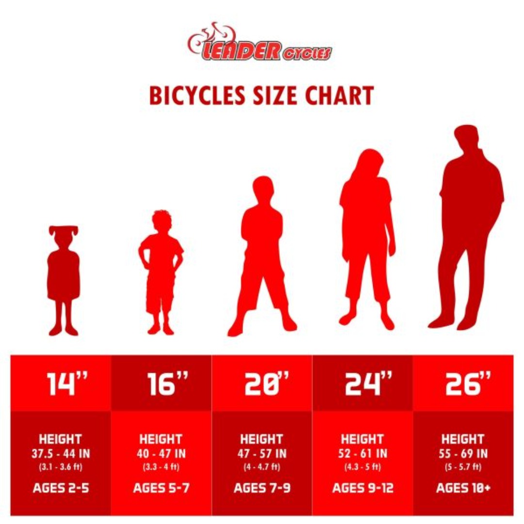 Scout 26T Size Chart